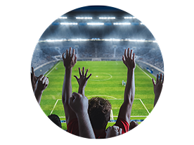 A crowd cheering from the stands as they watch the field.